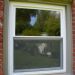 Springfield - Soft-Lite Elements, double pane, double hung, lowE